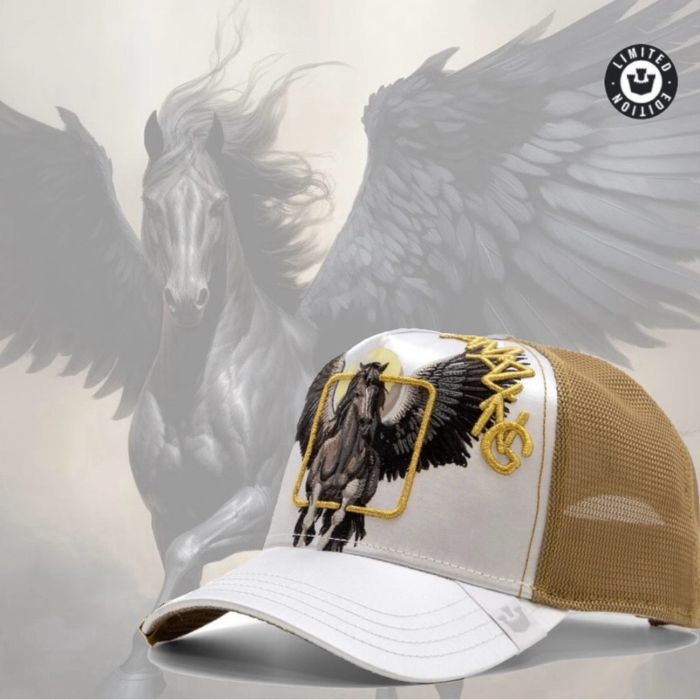 Goorin Bros - Limited Edition “Amazing”